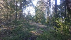 Barlindåsen