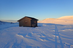 Storvassbu