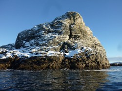 Frøkletten