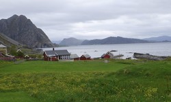 Skorpa kai