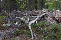 Krokfjellet