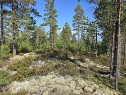 Geitberga øst