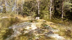 Strudsåsen