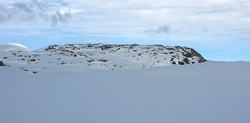 Brubergi