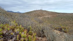 Montaña Guaza