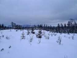 Sørøst for Ulvenmarka