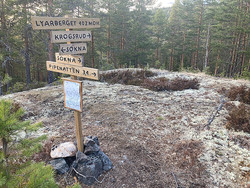 Lyarberget