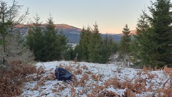 Høghaug