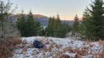 Høghaug