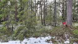 Breidfjell