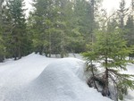 Gladlihaugene