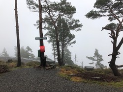Blåbærhaugen