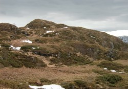 Kjeringhaugen