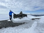 Skardfjellet