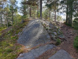 Barlindåsen øst