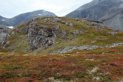 Feskehaugen