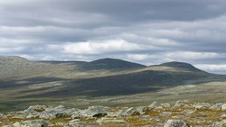 Aust for Stor-Svuku