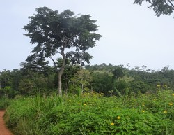 Lakleta