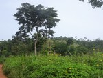 Lakleta