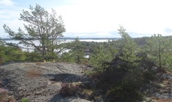 Seiløy