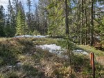 Seterhøgda