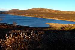 Falningsjøhøa