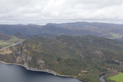 Ormekammen