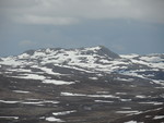 Gråsteinsnosi