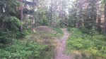 Flaberget