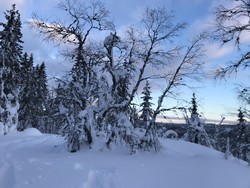 Nordbrenna