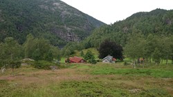 Moen
