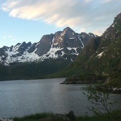 Blåbergheia