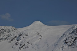 Bjørnalægskarven