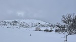 Hagakullen