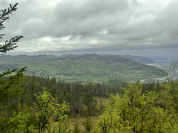 Varghaugen