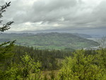 Varghaugen