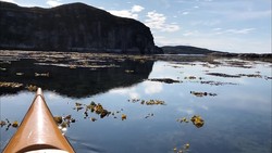 Hallarøya