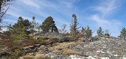 Helenatoppen