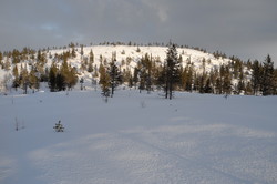 Volfjellet