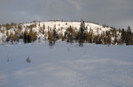 Volfjellet