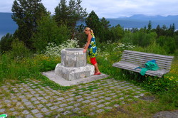 Furuholtet park