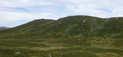 Romtveitnuten