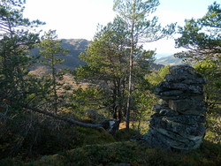 Kringlåthaugen