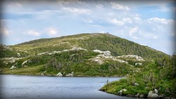 Delevardheia