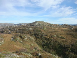 Øygjeknuten