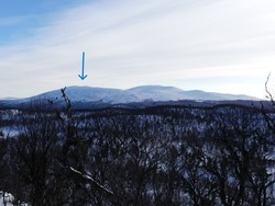 Elvhøgda