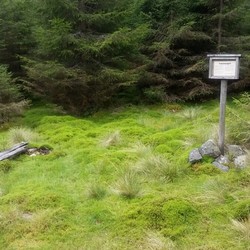Torshaugvangen