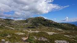 Solhellanuten