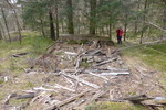 Lyngborg (ruin)