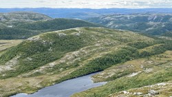 Vidslettheia